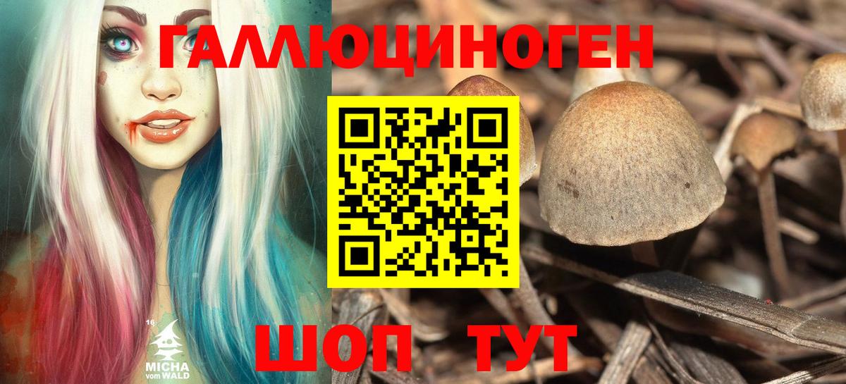 Чернушка  Псилоцибиновые грибы GOLDEN TEACHER  цены наркотик  Вход с VPN 