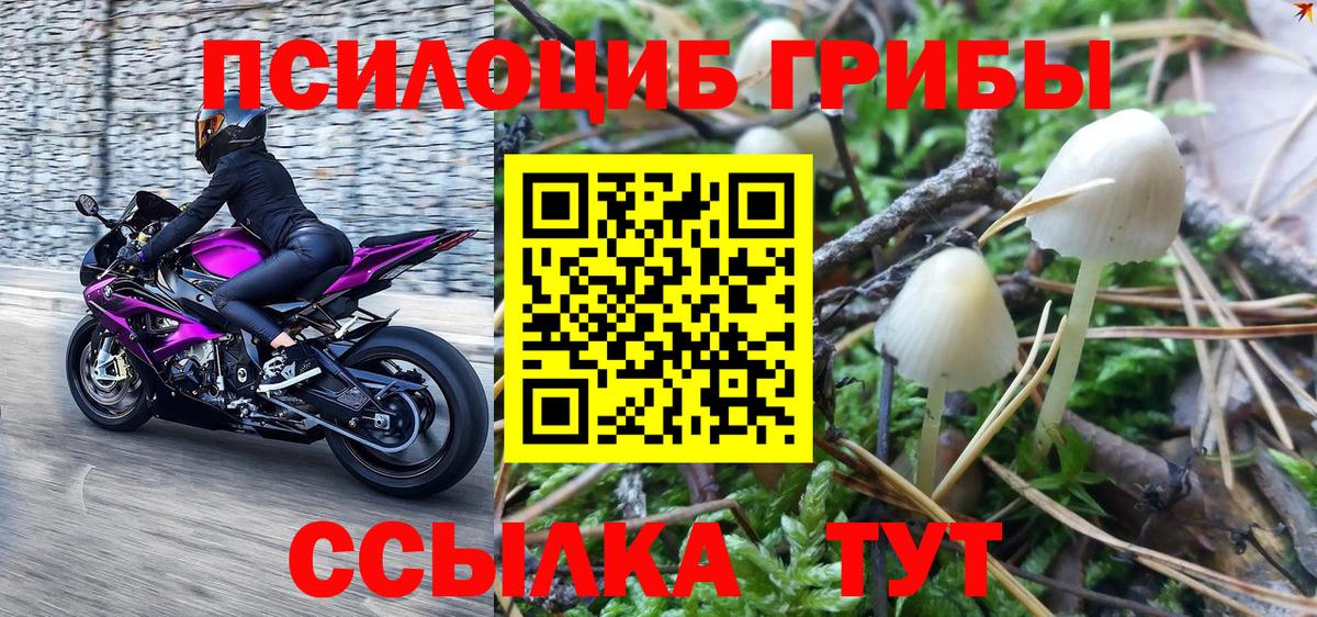 Галлюциногенные грибы ЛСД Чернушка